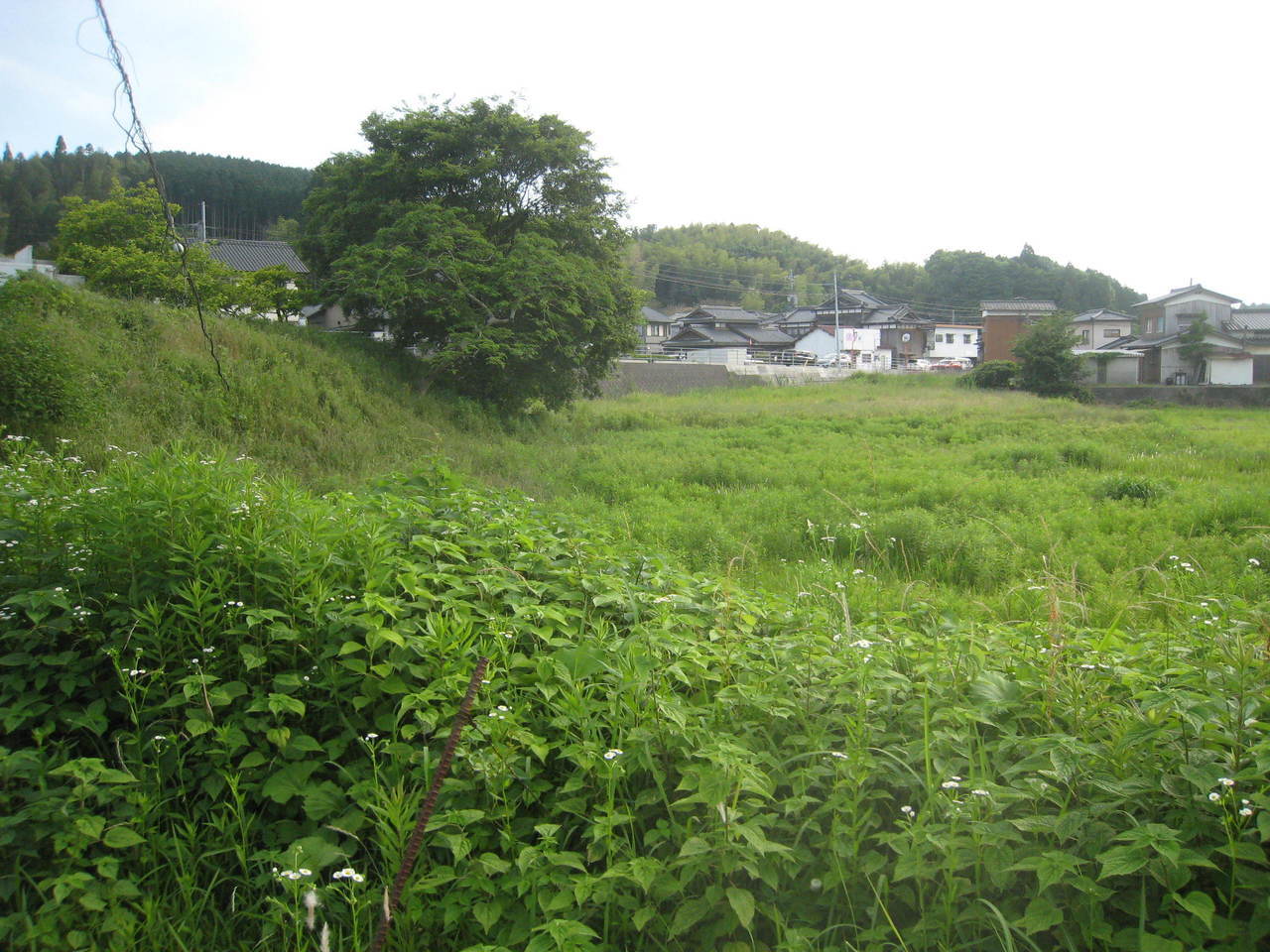 売土地　中島田
